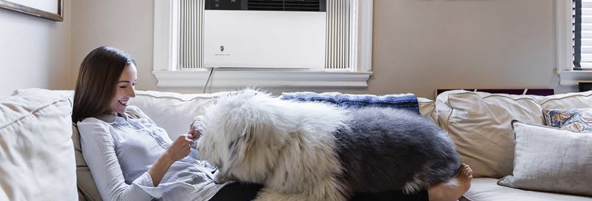 Best Window Air Conditioners of 2018 Consumer Reports